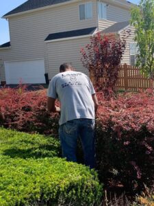 lawn enforcement landscaping