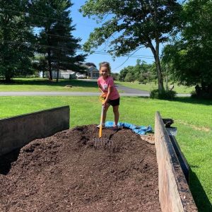 Mulch Installation service to Martinsburg, WV