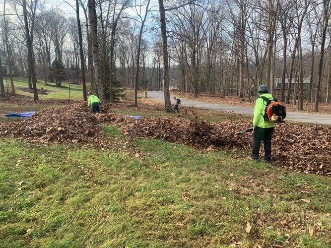 Spring Fall Clean Ups Yard Landscaping Services
