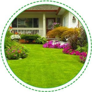 Landscaping Service in Charles Town, WV