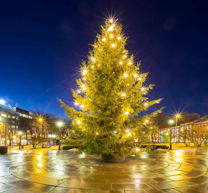 permanently installed christmas lights