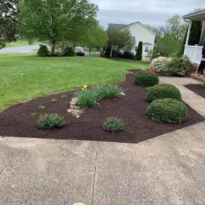 Mulch Installation service to Martinsburg, WV